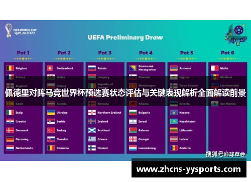 佩德里对阵马竞世界杯预选赛状态评估与关键表现解析全面解读前景