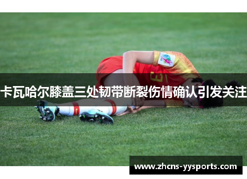 卡瓦哈尔膝盖三处韧带断裂伤情确认引发关注 卡瓦哈尔膝盖三处韧带断裂伤情确认引发关注