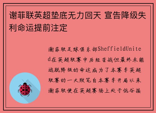 谢菲联英超垫底无力回天 宣告降级失利命运提前注定